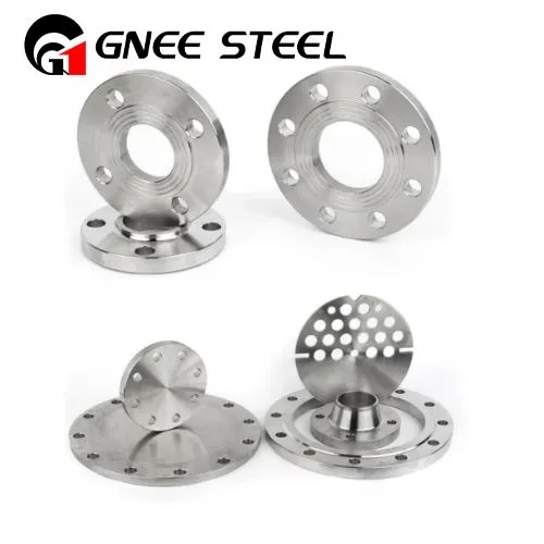 Hastelloy C276 Fläns UNS N10276